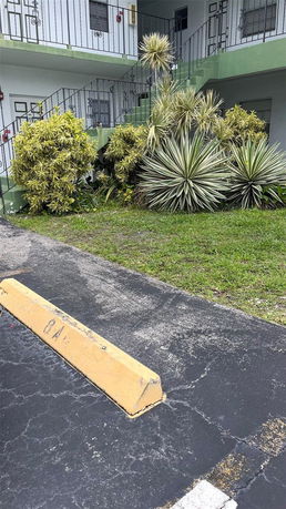 Outdoor view of a building with a parking bumper in front and greenery by the stairs.