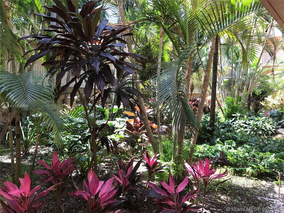 Lush garden view with various tropical plants and trees.