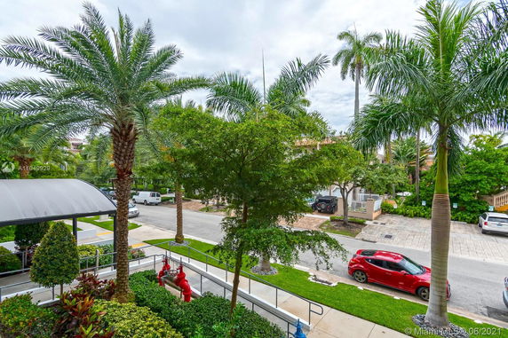 Street view with palm trees and parked cars