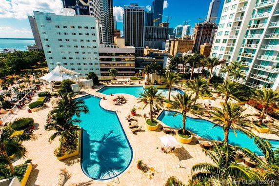 Rooftop view featuring a large swimming pool area surrounded by palm trees and sun loungers, with tall buildings in the background.
