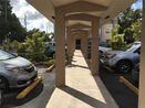 miamire/cfc16fbc230b5c30477dc256b5b2e066.jpg?width=131&height=105&format3=webp