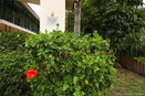 miamire/cfca97f37ec2a4f249e8d92767ab265d.jpg?width=131&height=105&format3=webp