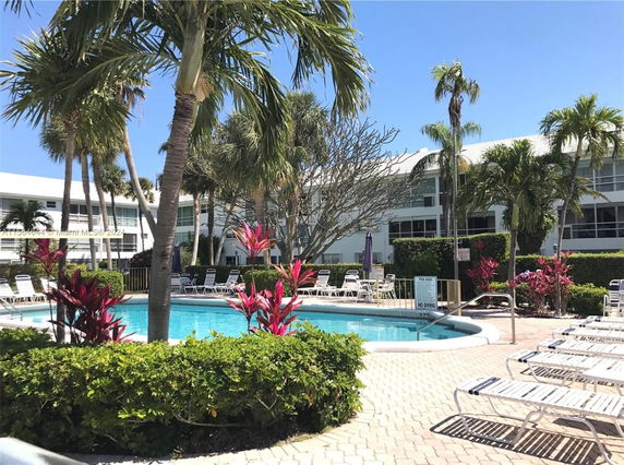 Outdoor swimming pool area surrounded by lounge chairs and palm trees.