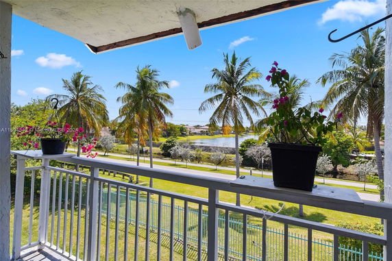 Balcony view with palm trees and a lake in the distance.