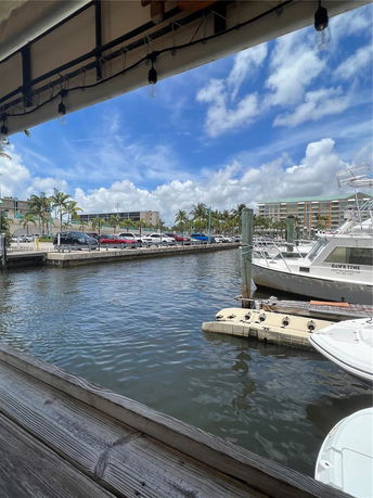 View of a waterfront area with boats docked and buildings in the background.