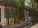miamire/d1ec80835cd186811d9a8d7a3b0a24df.jpg?width=131&height=105&format3=webp