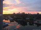 miamire/d2b10dd2eeab3552abdfd10ed246db9a.jpg?width=131&height=105&format3=webp