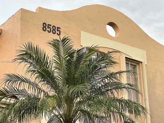 Front view of a building with an arched roof and a window, marked with the number 8585.