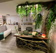 miamire/d6bbbb823070bd13872cb40baf9b6a64.jpg?width=131&height=105&format3=webp