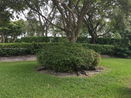 miamire/d8bc7bb8aec663d510f7964dd7ccd02b.jpg?width=131&height=105&format3=webp