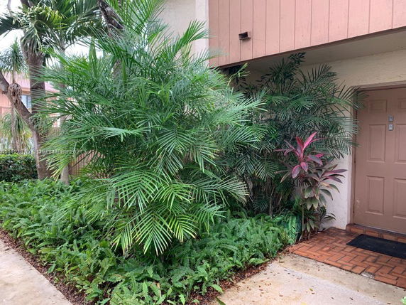 Front view of a building entrance with plants and a brown door.