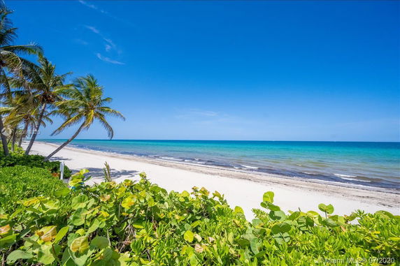 View of a sandy beach with clear blue water and palm trees.