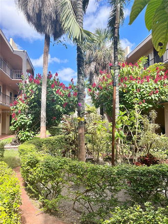 View of garden area between two buildings with palm trees and flowering bushes.
