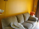 miamire/d9f4c265652c64d6a5b78be103daa9fa.jpg?width=131&height=105&format3=webp
