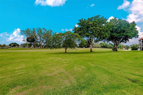 Open green field with scattered trees and a distant view of buildings.