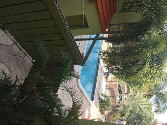 View of backyard area with a swimming pool and palm trees.