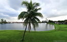 miamire/ddaec9ae460398b4a719a33d05ac6369.jpg?width=131&height=105&format3=webp