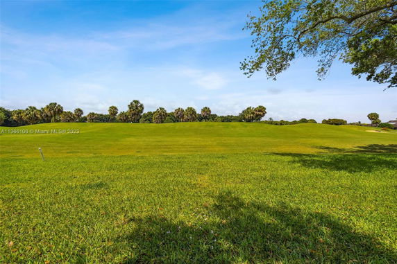 Expansive view of a natural green landscape with palm trees under a clear blue sky.