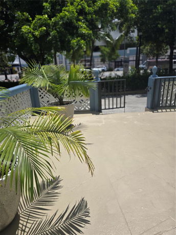 View from a building entrance showing potted plants and a gated entrance.