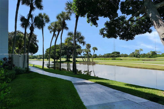 View of a lush landscape with a body of water and palm trees, partially showing a building on the left side.