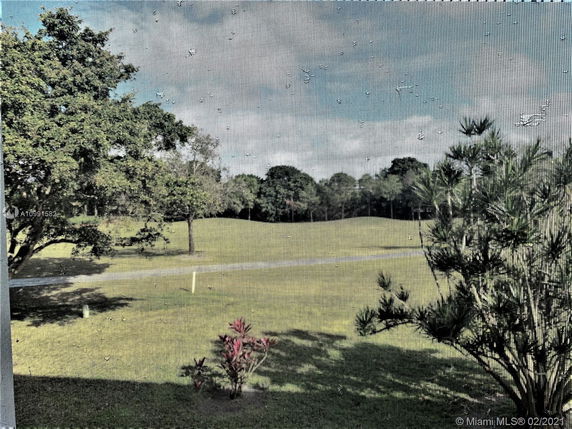 View of a grassy outdoor area with scattered trees and a pathway.