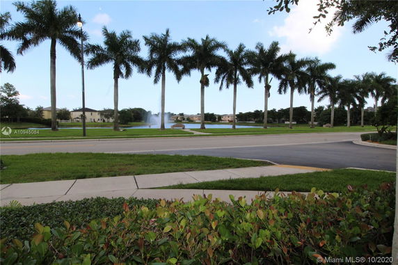 View of palm trees and a water fountain across a street.