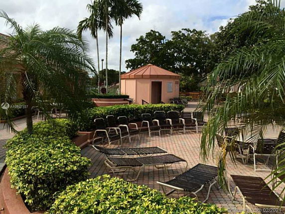 Outdoor recreational area with lounge chairs and palm trees.