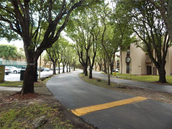 Pathway lined with trees near buildings.