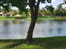 miamire/e2405a2b66f6c28dff1d14cf05cd1ab0.jpg?width=131&height=105&format3=webp