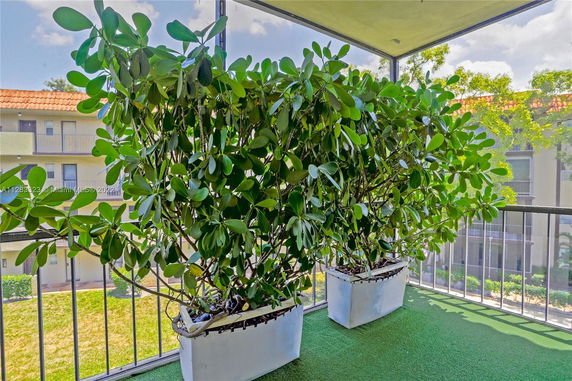 Balcony view with potted plants overlooking residential buildings.