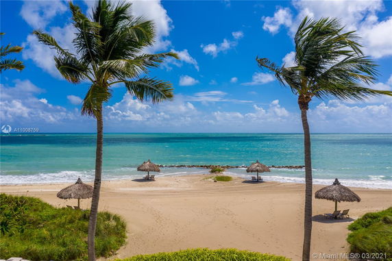 View of a beach with palm trees and thatched umbrellas overlooking the ocean.
