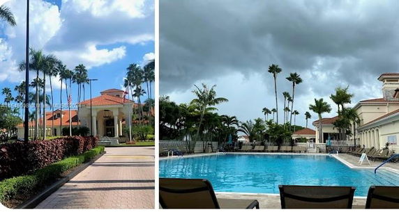 Outdoor swimming pool area with lounge chairs and palm trees nearby.
