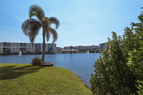 View of water body and surrounding residential buildings with palm tree in foreground.