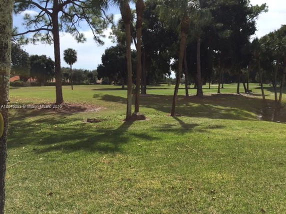View of a grassy area with trees.
