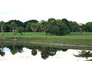 miamire/e6a92960762c6fbc45d8c1a6cd8895df.jpg?width=131&height=105&format3=webp