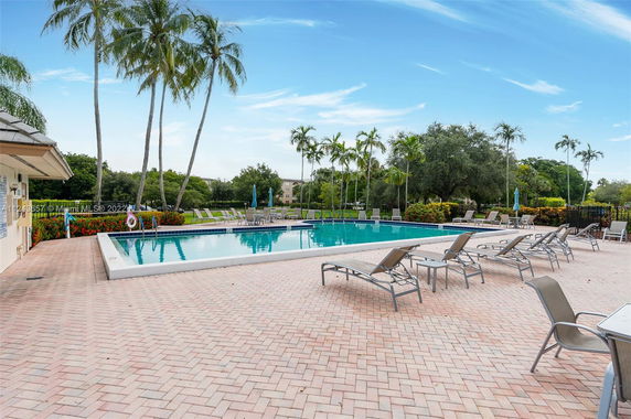 Outdoor swimming pool area with lounge chairs and palm trees.