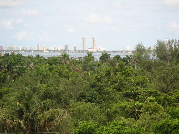Panoramic view of a city skyline with trees and water in the foreground.