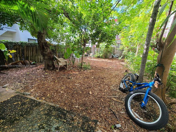 Outdoor area with trees, chairs, and a bicycle leaning against a tree.