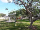 miamire/e9642aab254e44a97e0970884eb97977.jpg?width=131&height=105&format3=webp