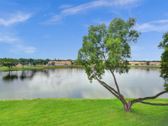 View of a pond with grassy banks and houses in the background.