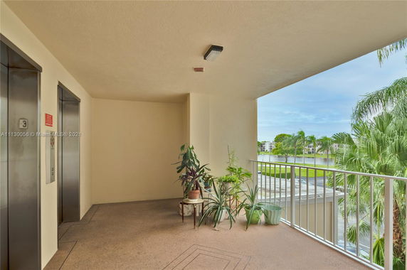 Elevator lobby with potted plants and a view of palm trees and buildings in the distance.