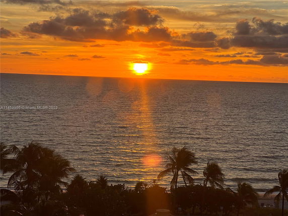 Panoramic view of the ocean with a sunset and palm trees.