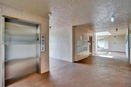 miamire/ef5feab604c99fb6262576b49f5ec8ec.jpg?width=131&height=105&format3=webp