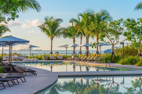 View of a swimming pool area with lounge chairs and umbrellas, surrounded by palm trees, overlooking a body of water and distant cityscape.