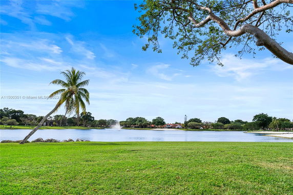 Scenic view of a lake with palm trees and a grassy area.