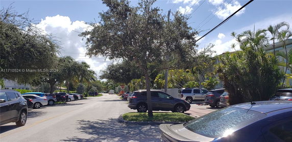 Street view with parked cars and trees on a sunny day