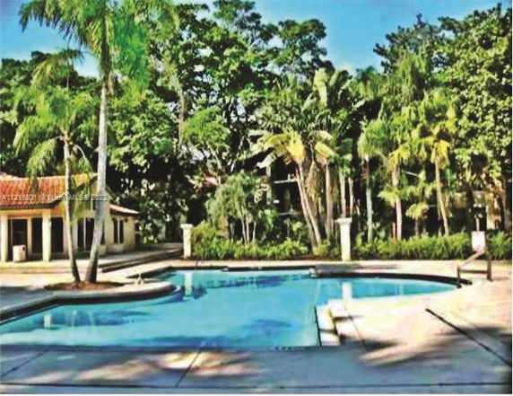 Outdoor swimming pool area surrounded by trees and a small building.