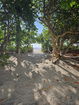 miamire/f2b6c7ceb6a72a02eaa4484a0ad636ee.jpg?width=131&height=105&format3=webp