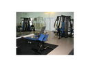 miamire/f33b995d346afb30adcbd5e7e460c6a6.jpg?width=131&height=105&format3=webp