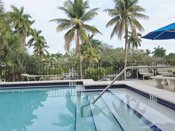 Outdoor pool area with surrounding palm trees and lounge chairs.